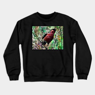 SOME FINCHY FLOW Crewneck Sweatshirt